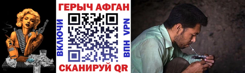 ГЕРОИН хмурый Стародуб