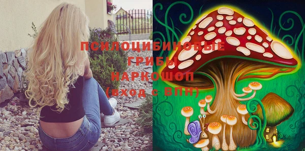 гидропоника Арсеньев