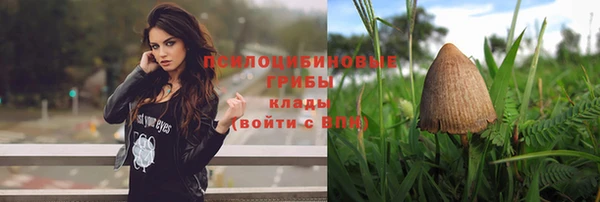 индика Армянск