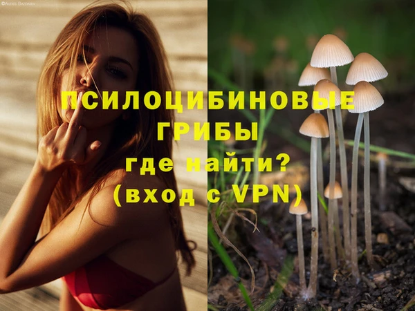 гидропоника Арсеньев