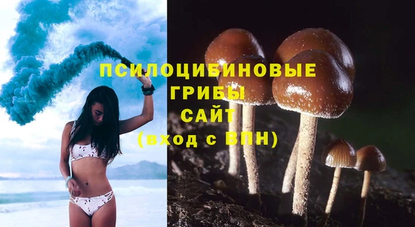 индика Армянск