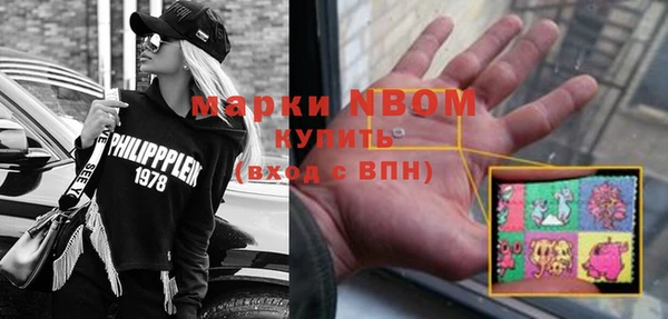 индика Армянск