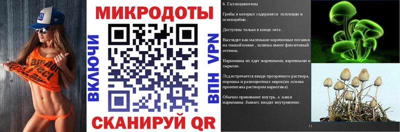 что такое   Стародуб  Галлюциногенные грибы Cubensis 